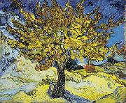 Vincent Van Gogh Mulberry Tree oil painting reproduction